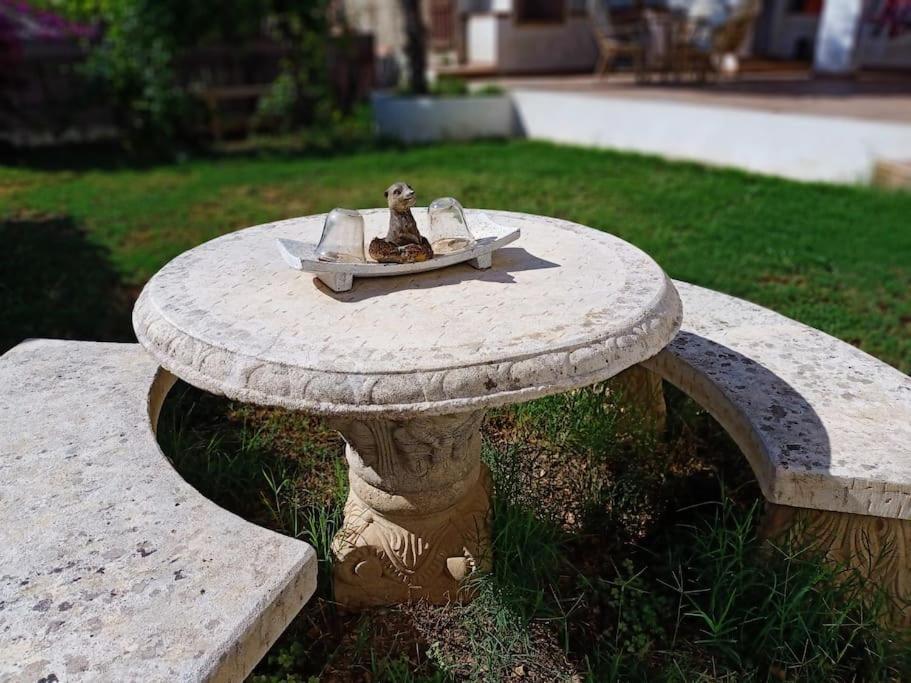 Villa Falconera Apartaments, Gandia A Las Faldas De La Montana Экстерьер фото