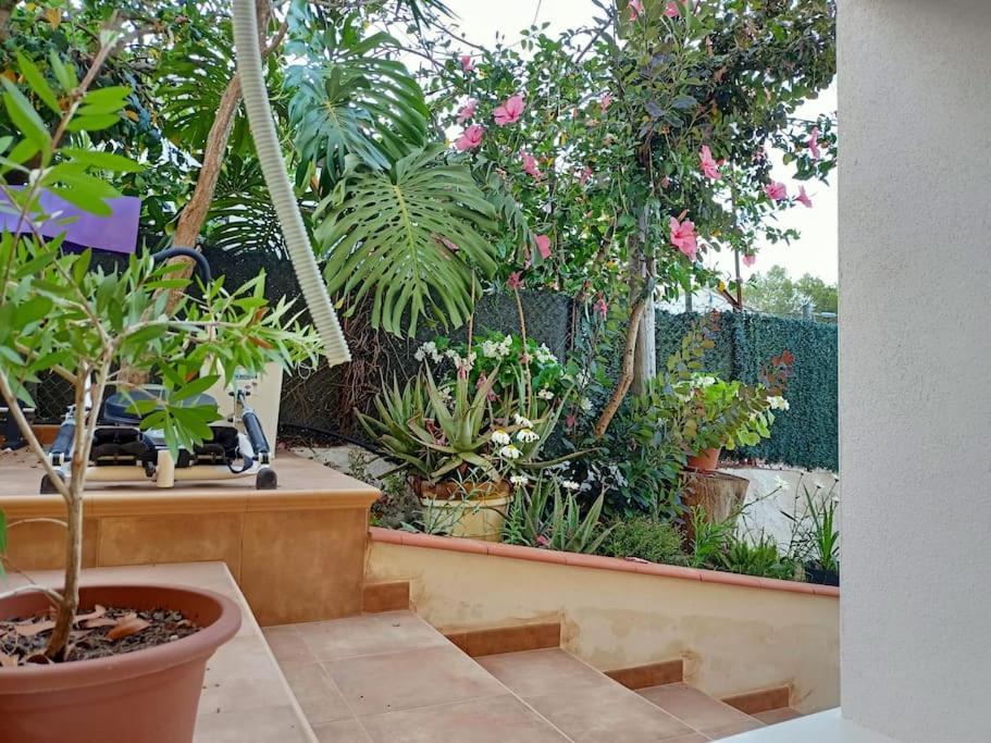 Villa Falconera Apartaments, Gandia A Las Faldas De La Montana Экстерьер фото