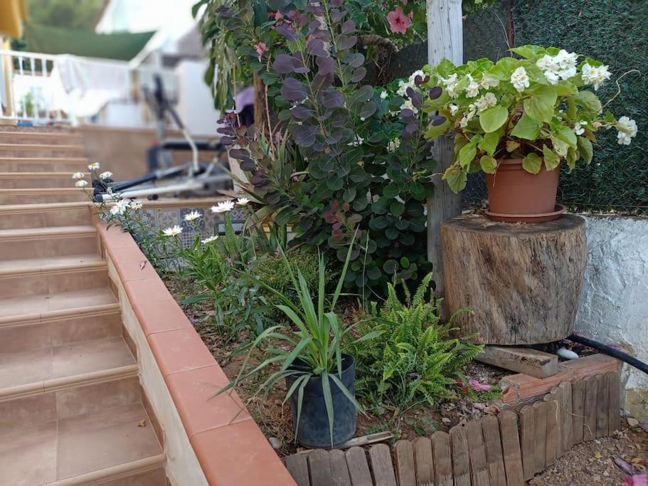 Villa Falconera Apartaments, Gandia A Las Faldas De La Montana Экстерьер фото