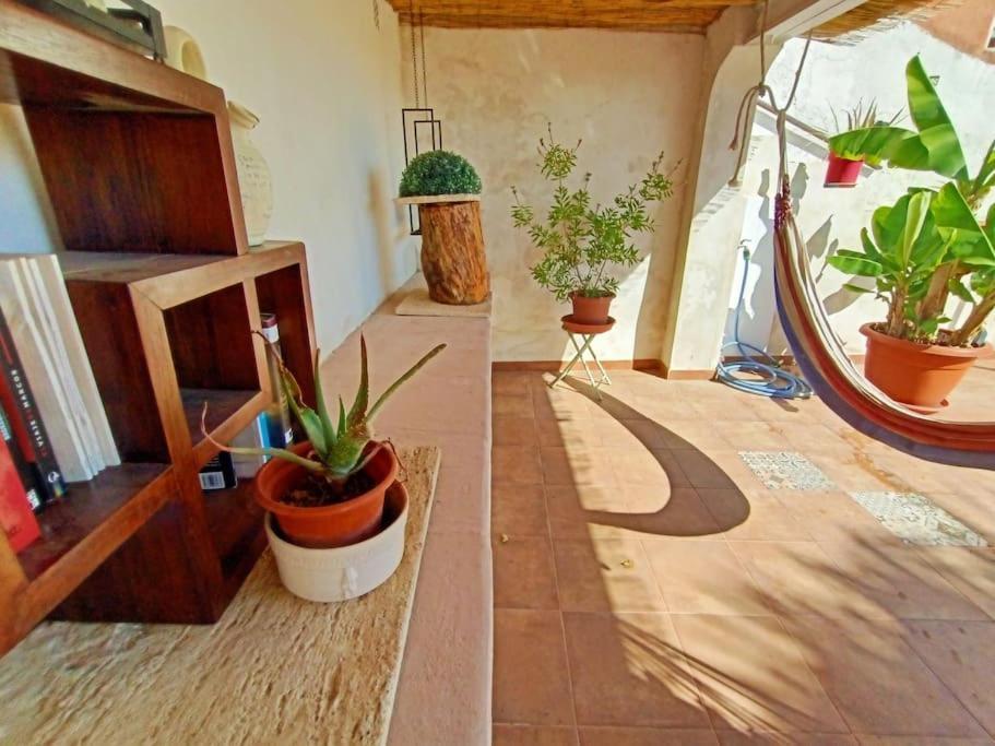 Villa Falconera Apartaments, Gandia A Las Faldas De La Montana Экстерьер фото